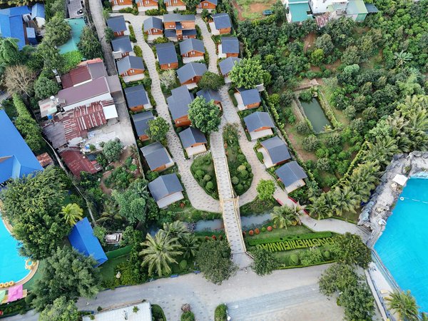 Traitement calvitie japon : la nouvelle révolution en cours